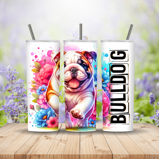Three colourful tumblers with a bulldog design on a wooden surface with a floral background. Miss Mafia